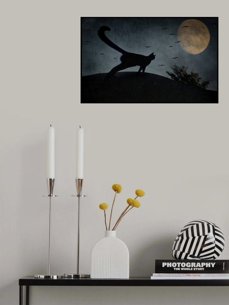 the curious tail of the cat filemon... Poster och Canvastavla