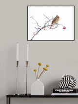 Cardinal Poster och Canvastavla