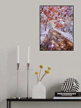 The turn of autumn and winter Poster och Canvastavla