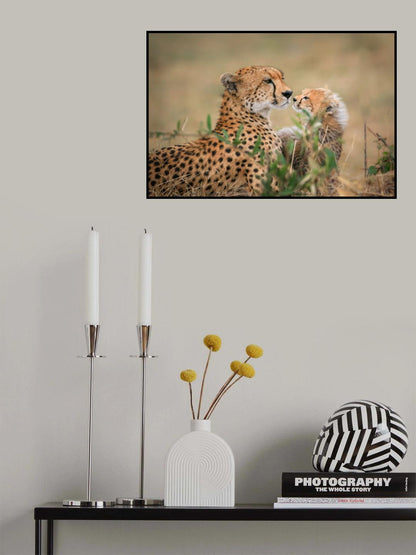 Instincts Poster och Canvastavla