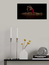 Splitz Poster och Canvastavla