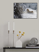 Vinter morning Poster och Canvastavla