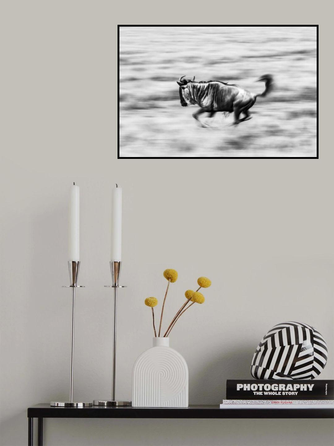 The Wildebeest Poster och Canvastavla