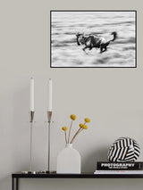 The Wildebeest Poster och Canvastavla