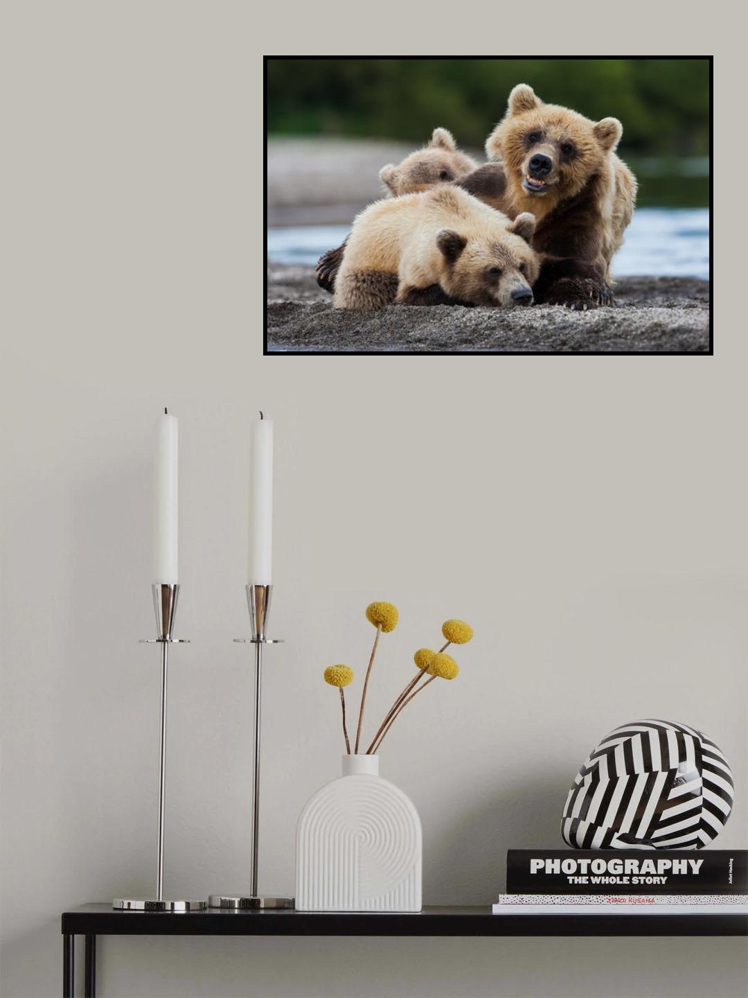 Stay away Poster och Canvastavla