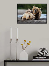 Stay away Poster och Canvastavla