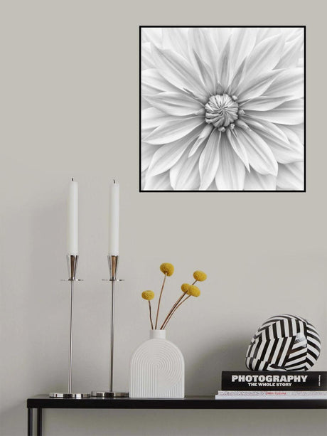 Hamari gold in monochrome Poster och Canvastavla