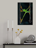 Ants group Poster och Canvastavla