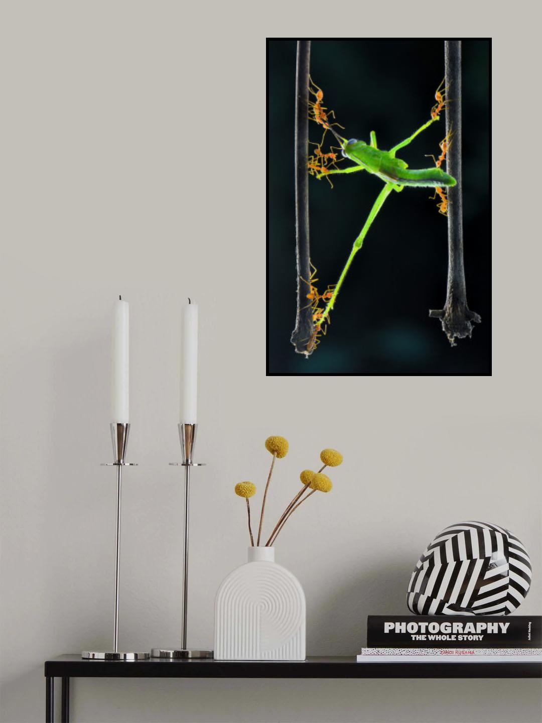 Ants group Poster och Canvastavla