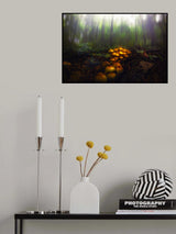 Mushrooms in the Autumn Forest Poster och Canvastavla