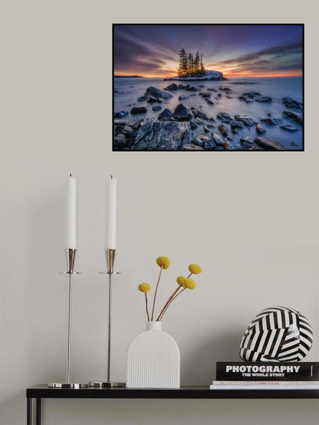 Risen Poster och Canvastavla