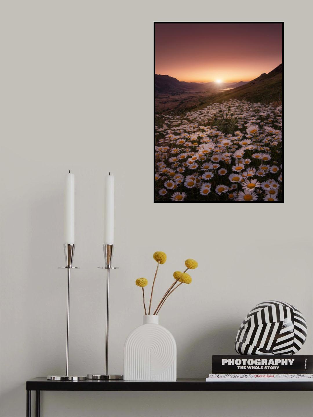 Closer to the sun Poster och Canvastavla