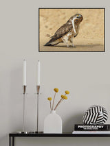 When the hunter becomes prey... Poster och Canvastavla