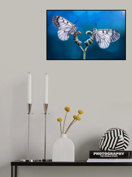 Angels Poster och Canvastavla