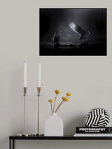 Poster och Canvastavla