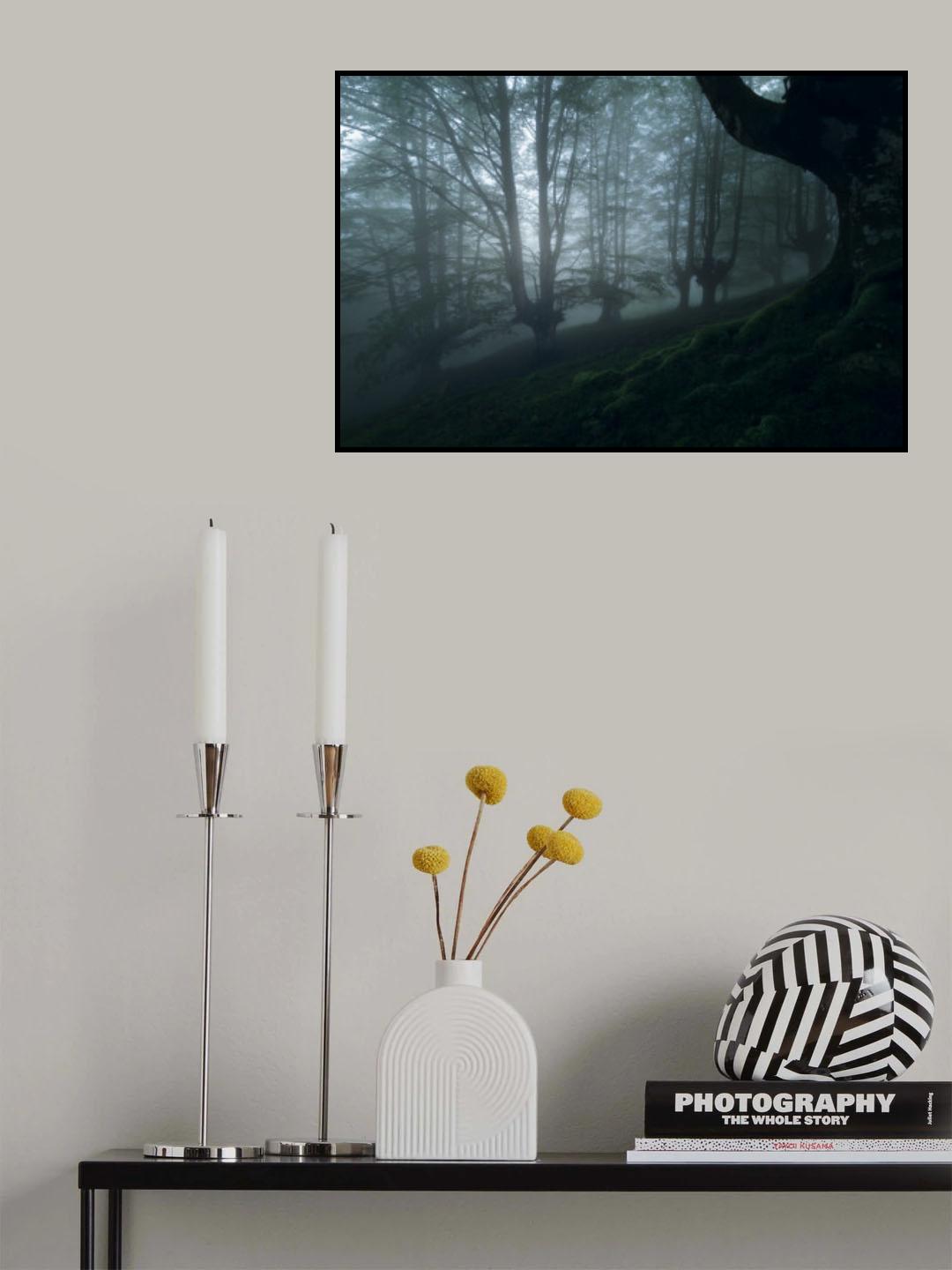 Foggy forest Poster och Canvastavla