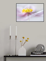 Anemone Poster och Canvastavla