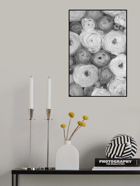 Scattered ranunculus grayscale II Poster och Canvastavla