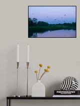 Flock of Birds During The Blue Hour Poster och Canvastavla