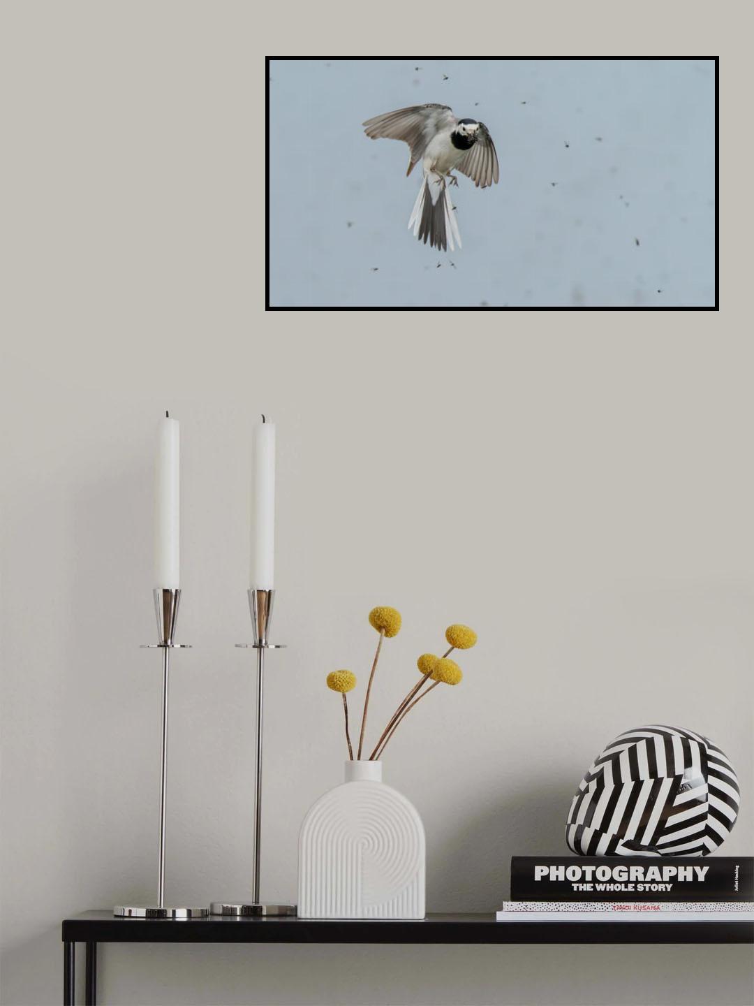 Poster och Canvastavla