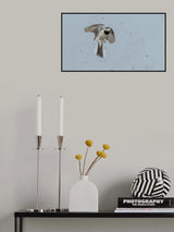 Poster och Canvastavla