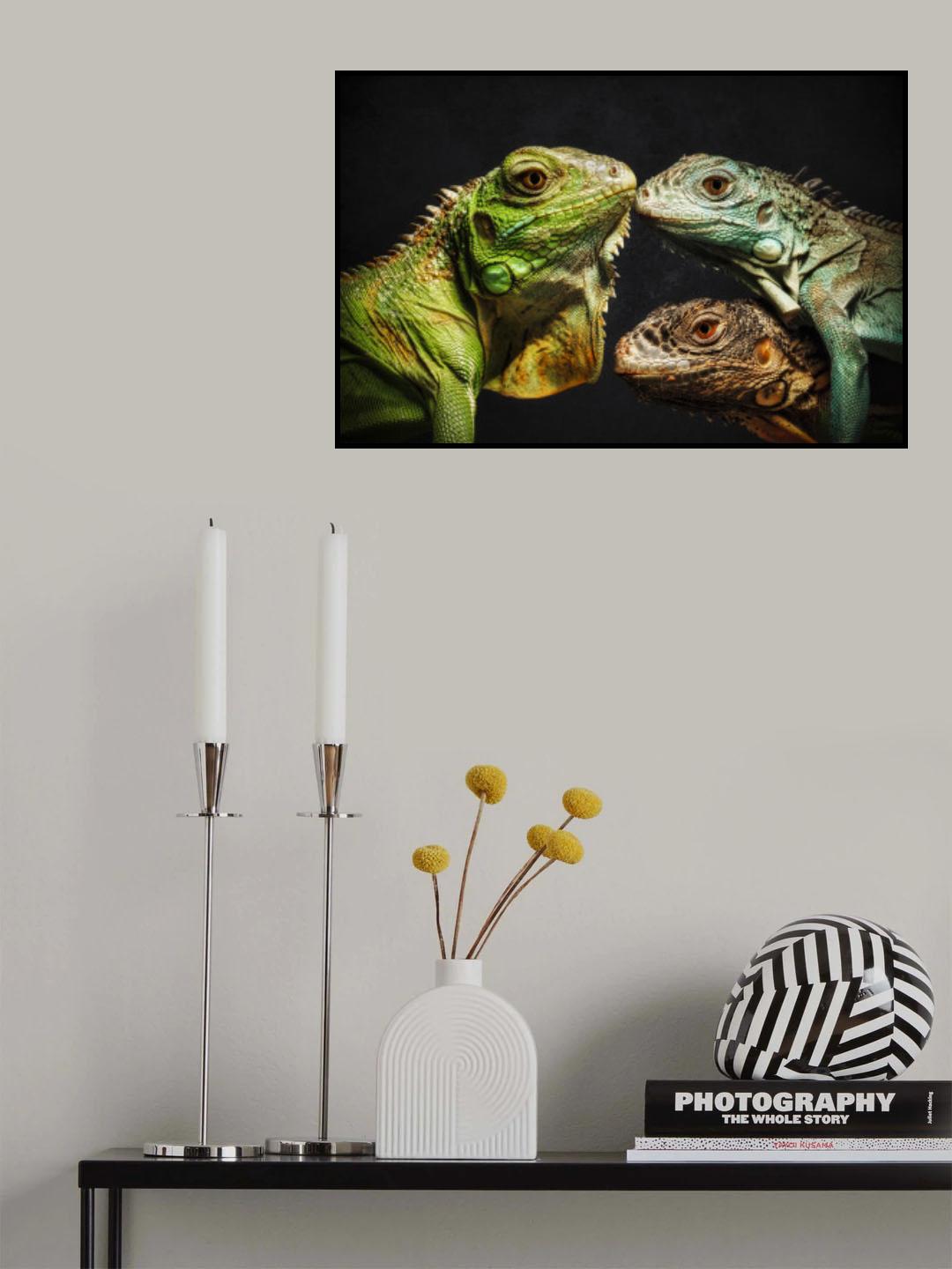 The Dragon Family Poster och Canvastavla