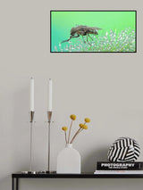 Walk in the morning dew... Poster och Canvastavla