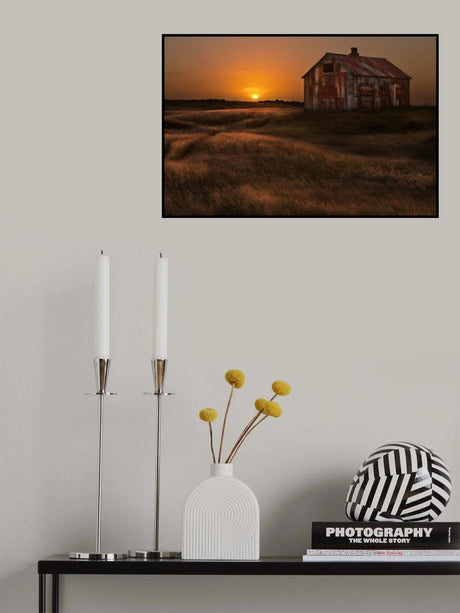 September Sun Poster och Canvastavla