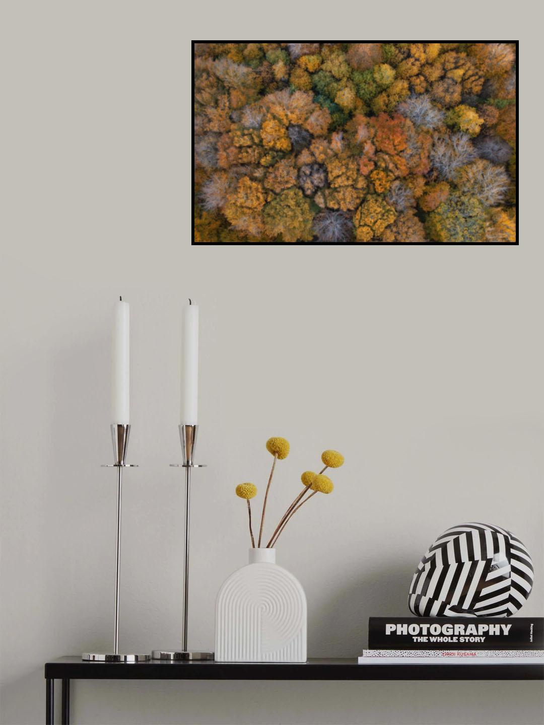 Autumn Colors Poster och Canvastavla