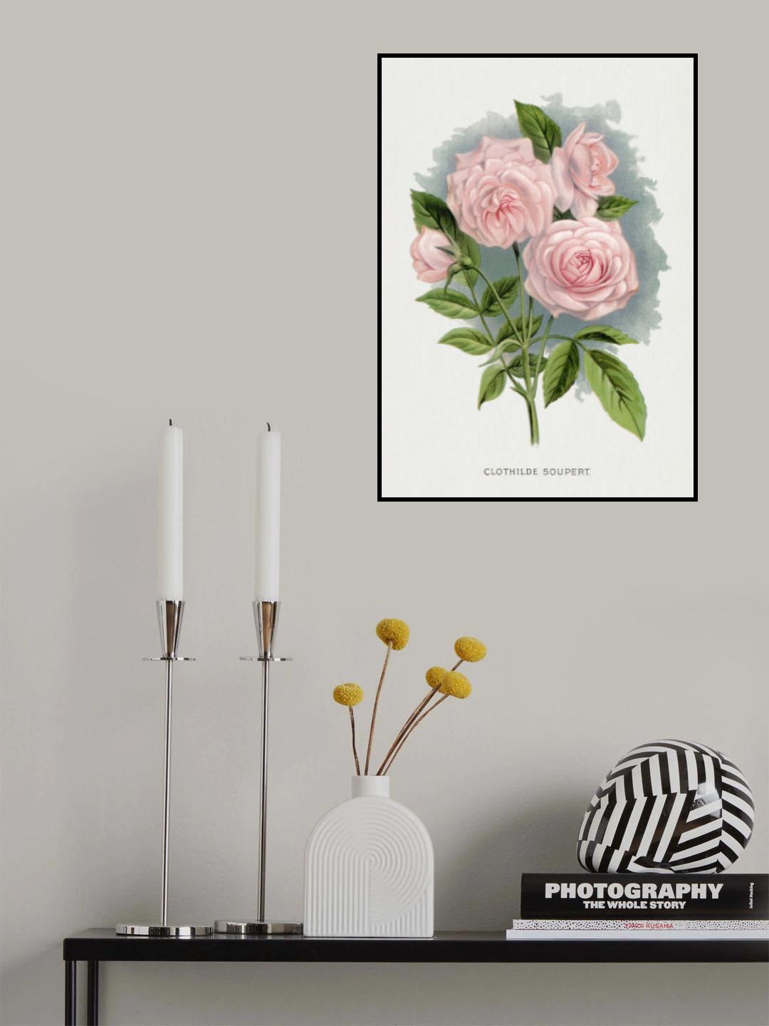 Pink Rose, Clothilde Soupert Lithograph Poster och Canvastavla