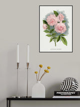 Pink Rose, Clothilde Soupert Lithograph Poster och Canvastavla