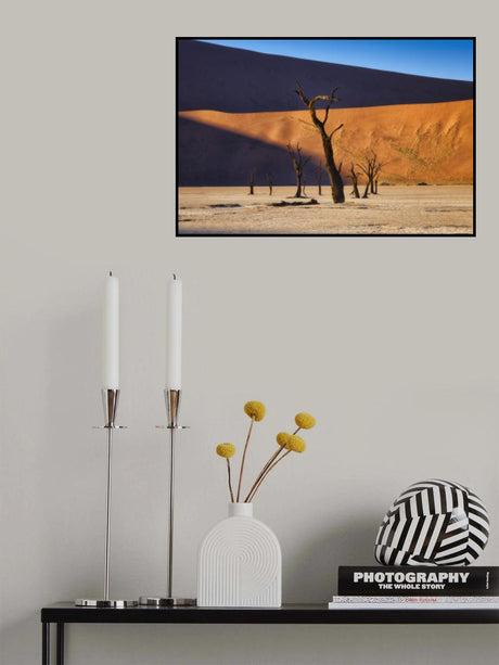 Deadvlei Poster och Canvastavla