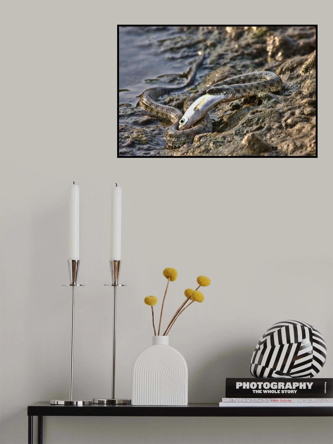 Poster och Canvastavla