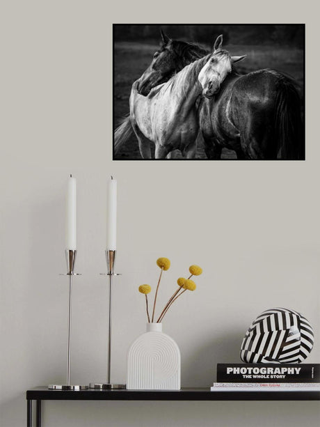 Warm rain Poster och Canvastavla