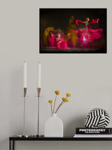 shadowing Poster och Canvastavla