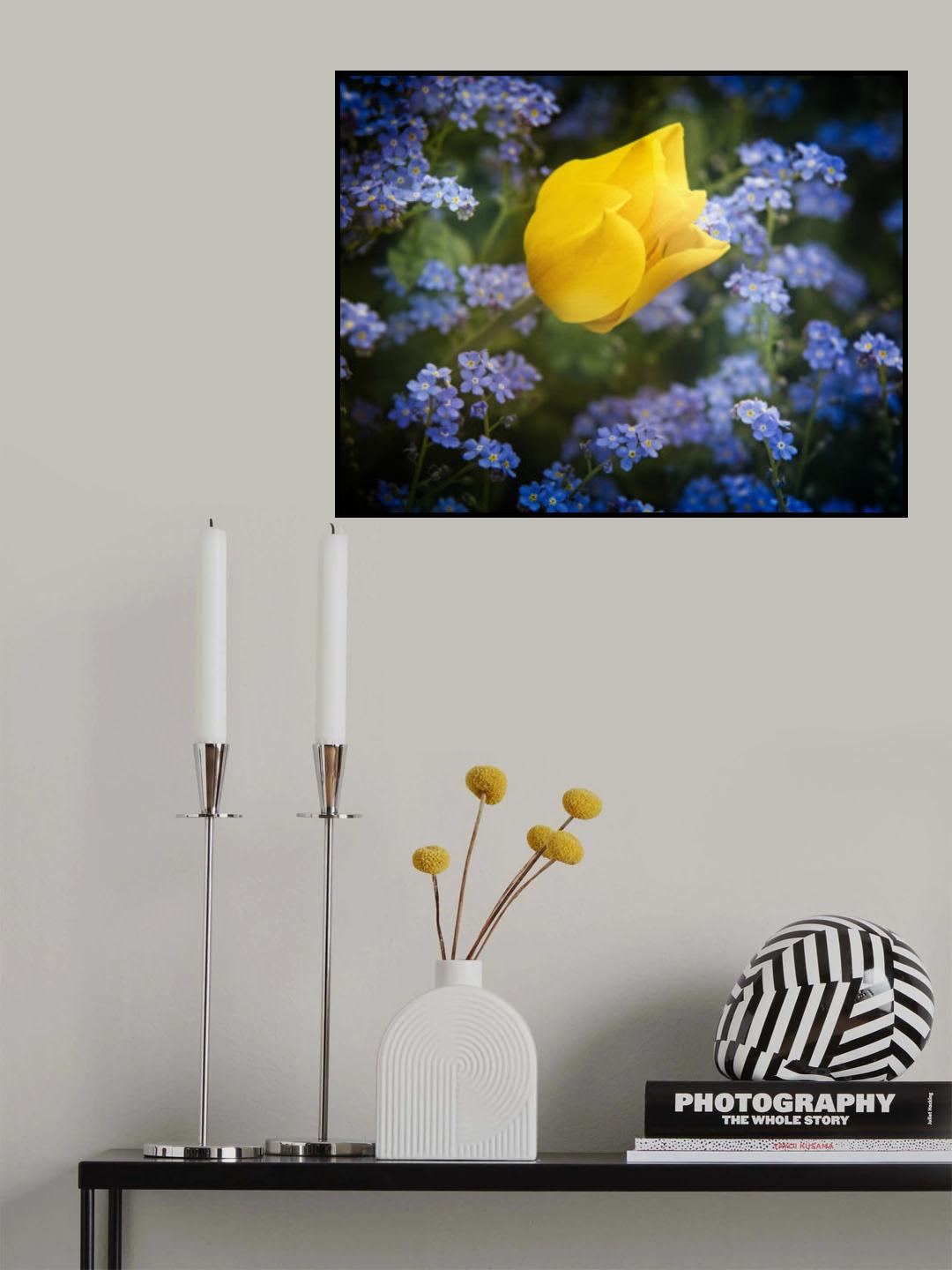 some flowers for Ukraine Poster och Canvastavla