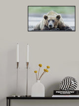 I Have my Eye on You Poster och Canvastavla