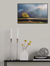 October Light Poster och Canvastavla
