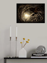 Under The Trees #1 Poster och Canvastavla