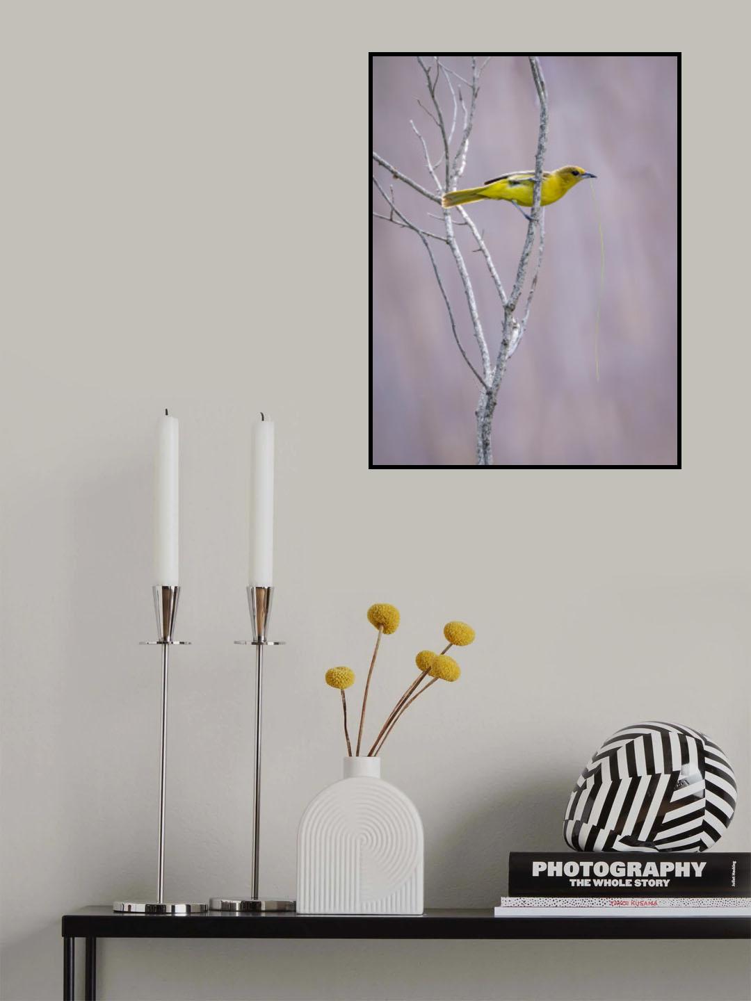 Show-off Poster och Canvastavla