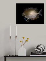 Cleaning Station Poster och Canvastavla