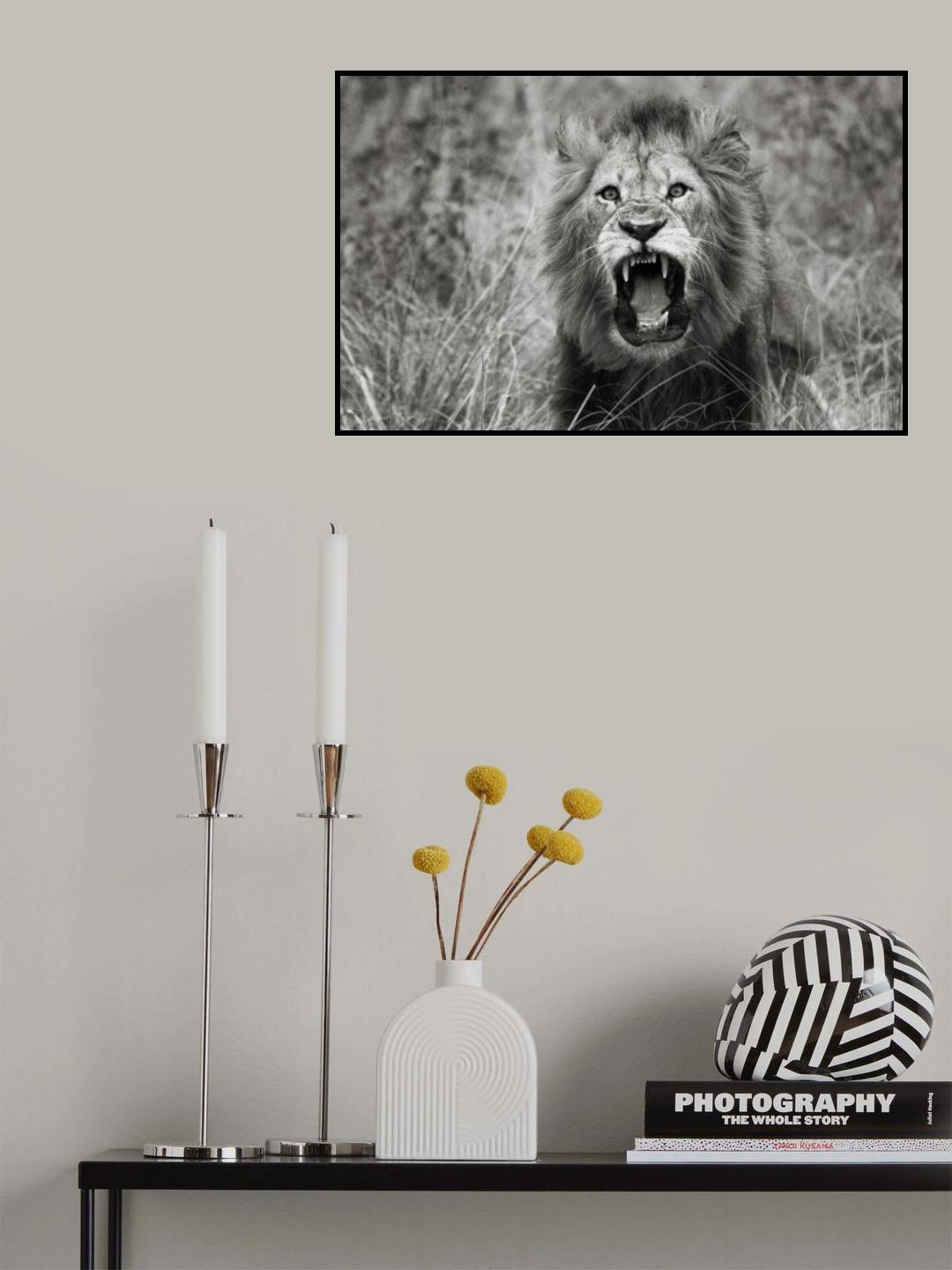 Roar Poster och Canvastavla