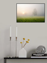 Spring Decoration Poster och Canvastavla