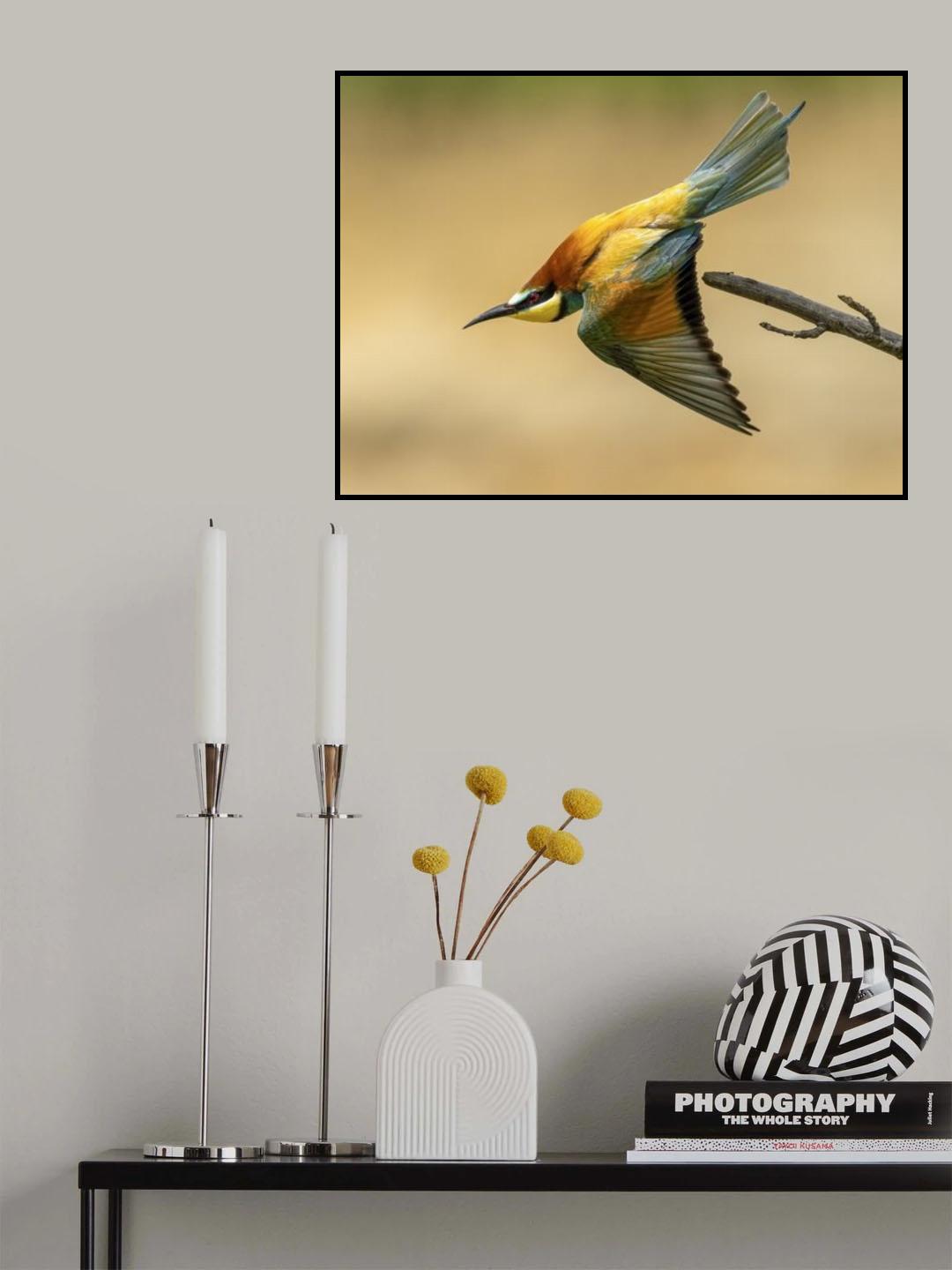 bee-eater Poster och Canvastavla