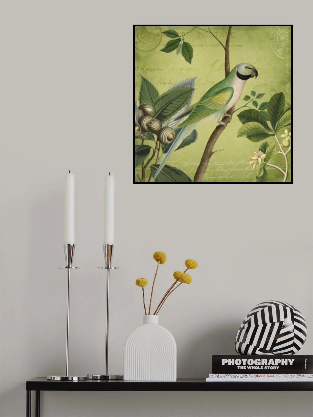 Bird Paradise Garden Poster och Canvastavla
