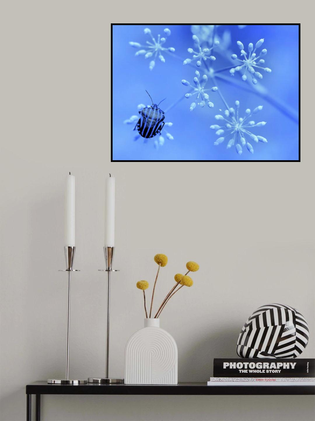 In the blue sky, the stars... Poster och Canvastavla