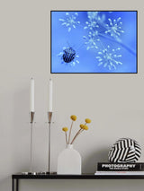 In the blue sky, the stars... Poster och Canvastavla