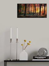 Autumn Woodland Sunrise Poster och Canvastavla