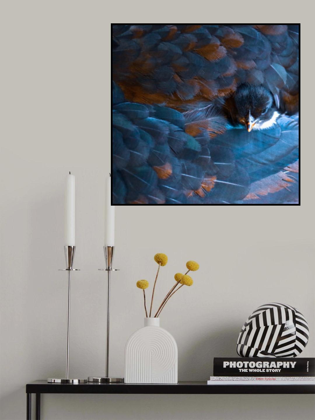 Take a peek Poster och Canvastavla