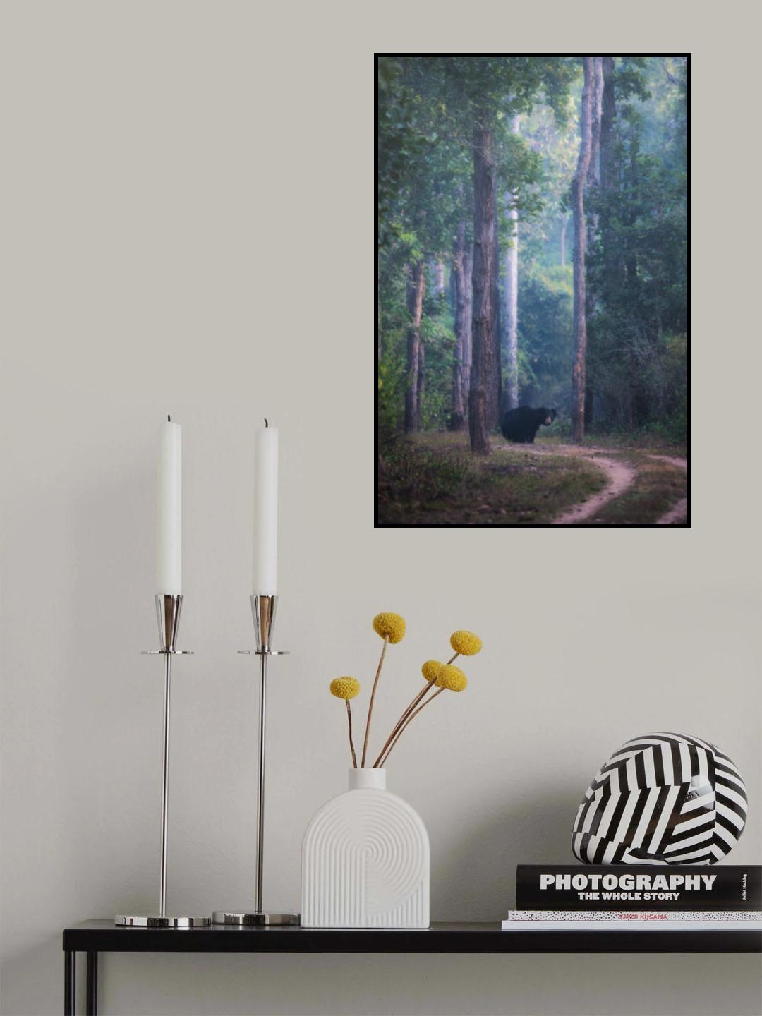 Sloth bear Poster och Canvastavla